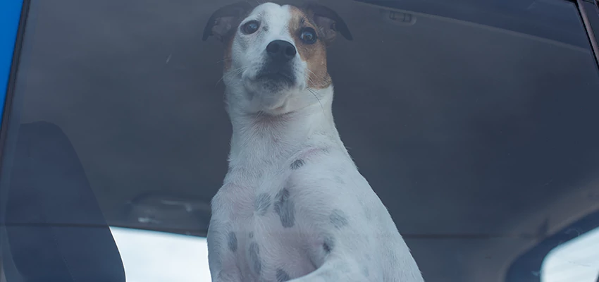 Car Lockout Solutions in Dinuba, California