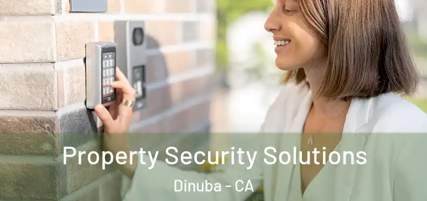  Property Security Solutions Dinuba - CA